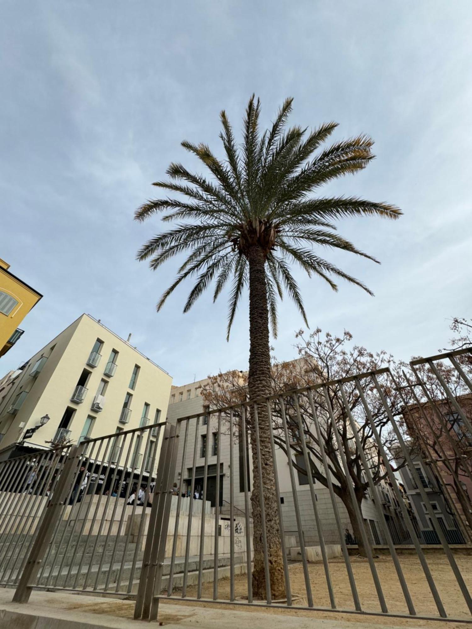 Nuevo Casco Antiguo, Playa Y Castillo Alicante Esterno foto